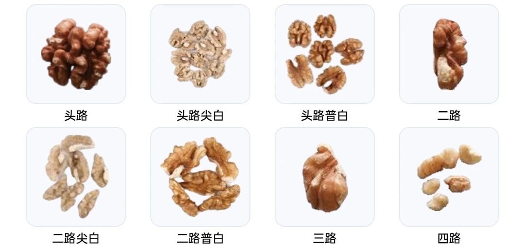 pg电子游戏app
