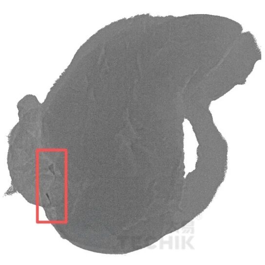 -生鸡肉检测细小鸡骨-