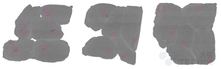 -生鸡肉检测多种不规则形状的碎鸡骨-